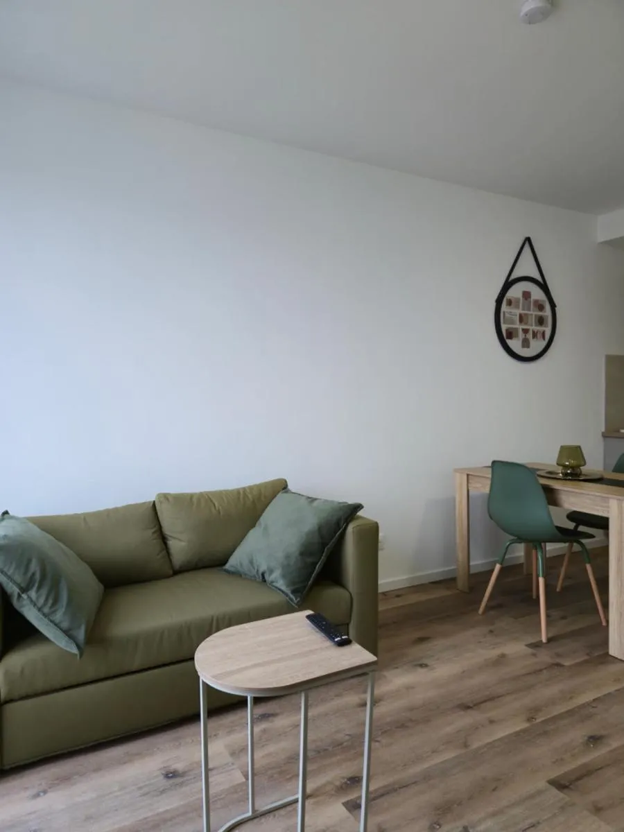 Image 3 of 303 – Strasbourg appartement Green refait à neuf
