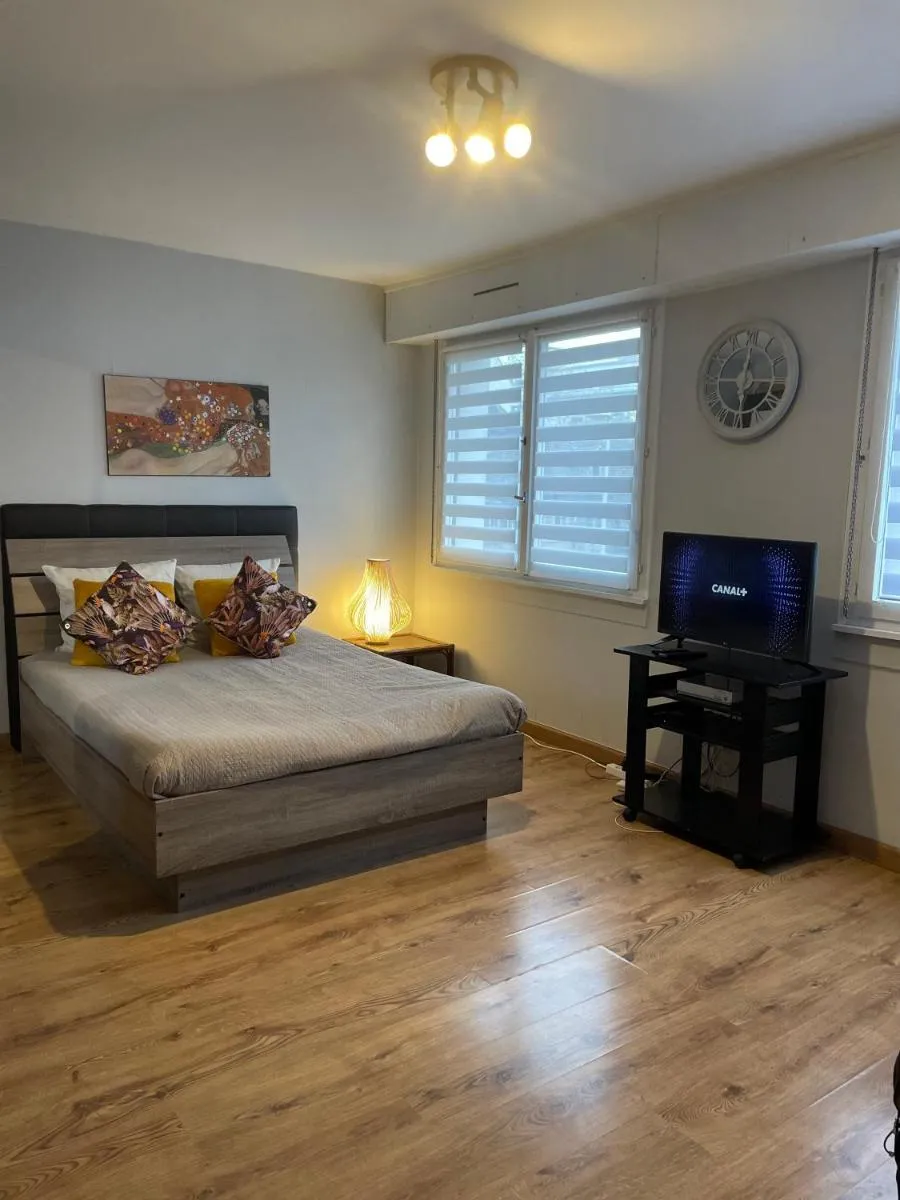 Image 6 of Adorable studio avec un parking prive