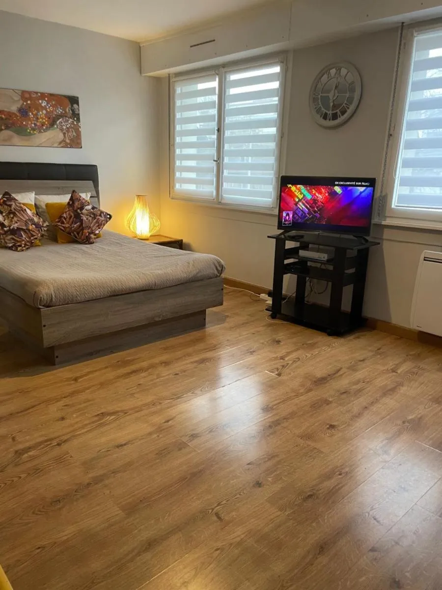Image 4 of Adorable studio avec un parking prive