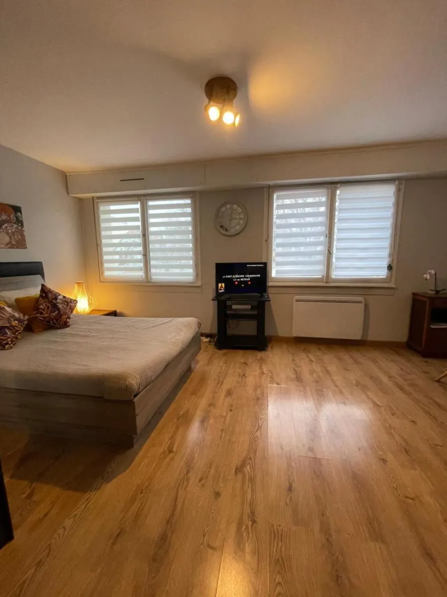Image 1 of Adorable studio avec un parking prive