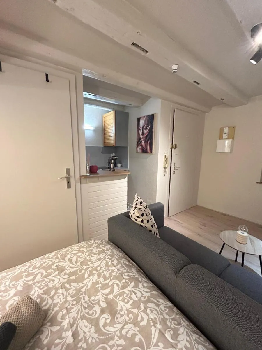 Image 4 of Apartment Hyper Center Strasbourg & Petite France – Entire apartment