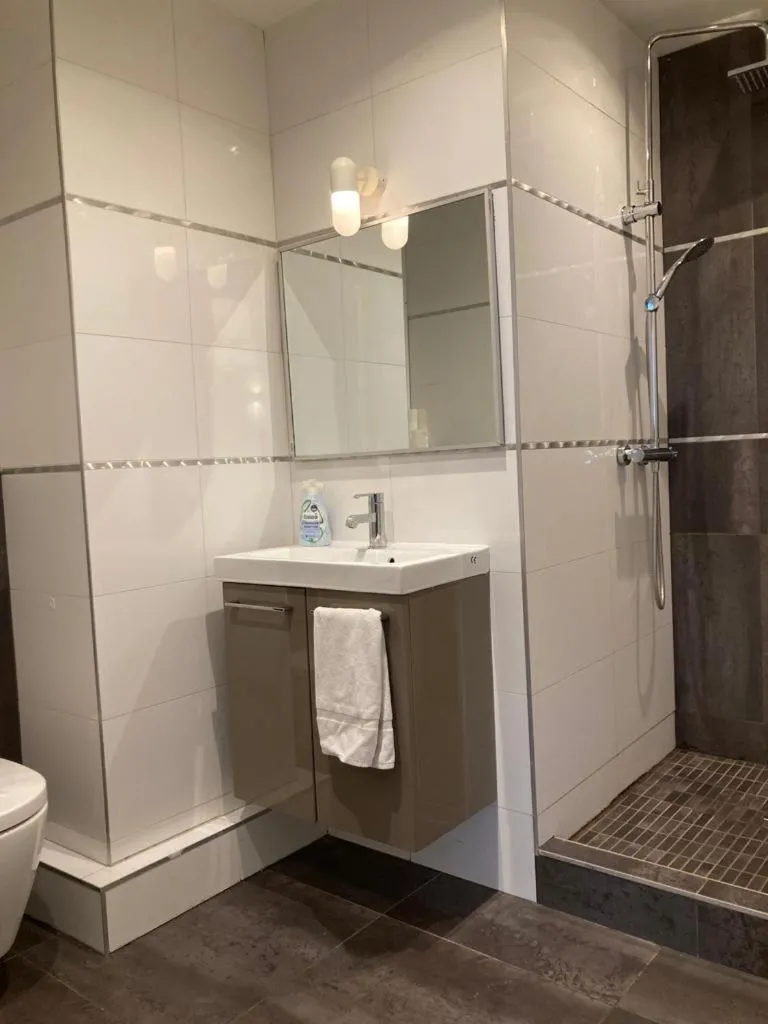 Image 3 of Appartement 2P Strasbourg centre – Homme de fer