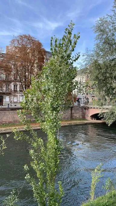 Image 6 of Appartement 2 chambres au cœur de Strasbourg