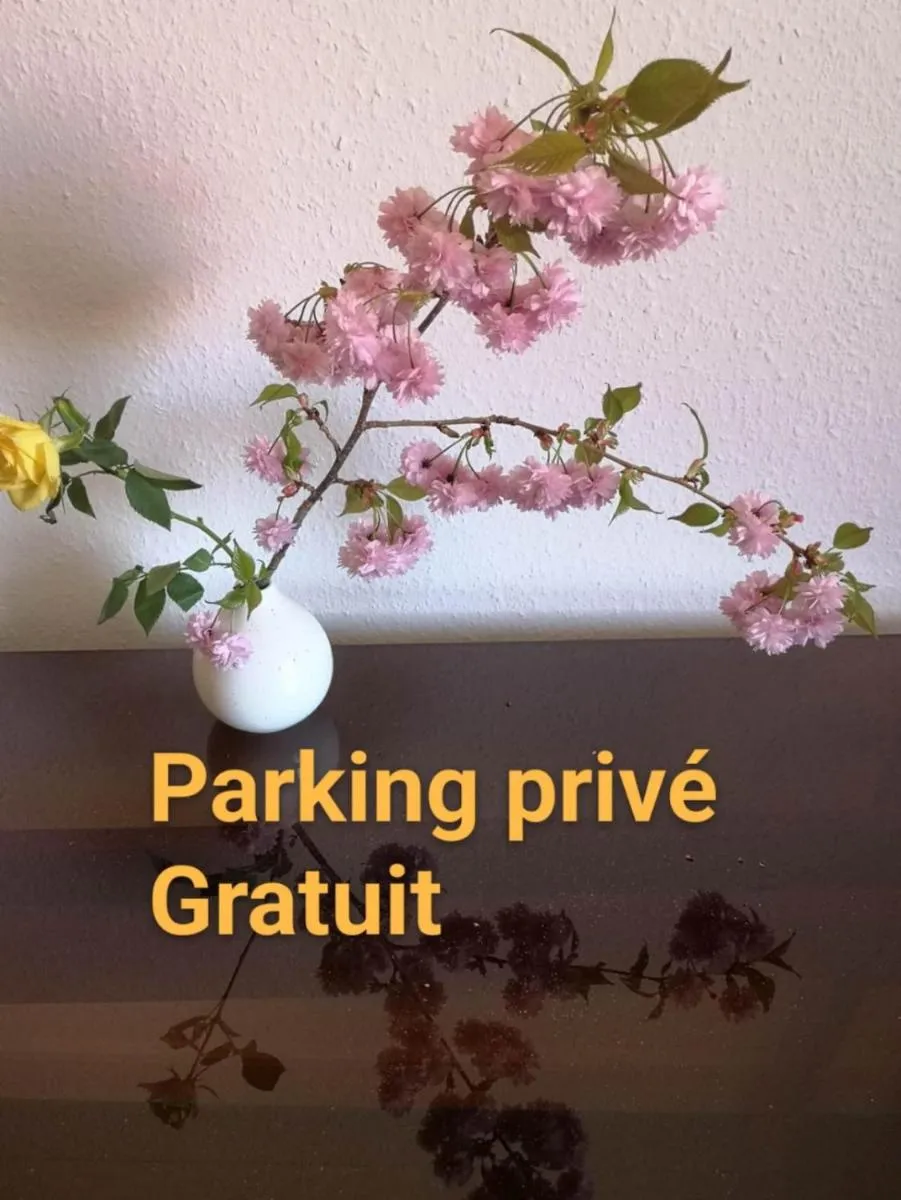 Image 2 of Appartement Zen Strasbourg center avec parking
