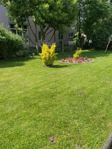 Image 5 of Bel Appartement en RDC proche Strasbourg Nice apartment very near Strasbourg