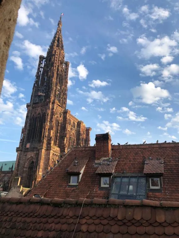 Image of Carpe Diem Home – Au pied de la Cathédrale