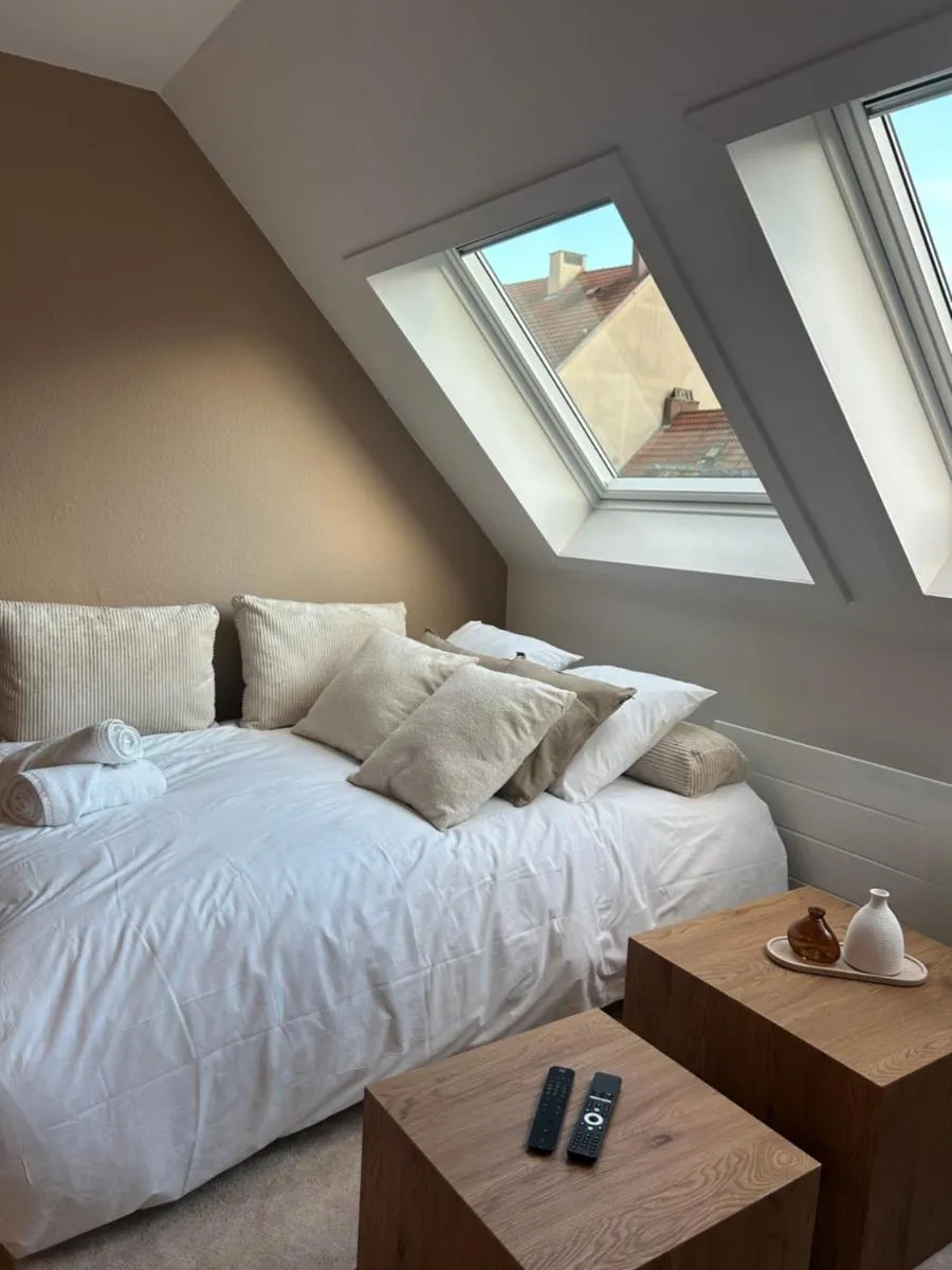Image 6 of Charming Apartment with JACUZZI Centre Strasbourg Gare