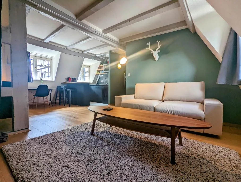 Image of CityCosy Strasbourg – Authentique Batelier