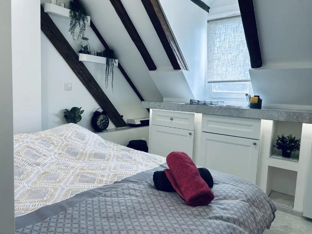 Image of Cocon au cœur de Strasbourg