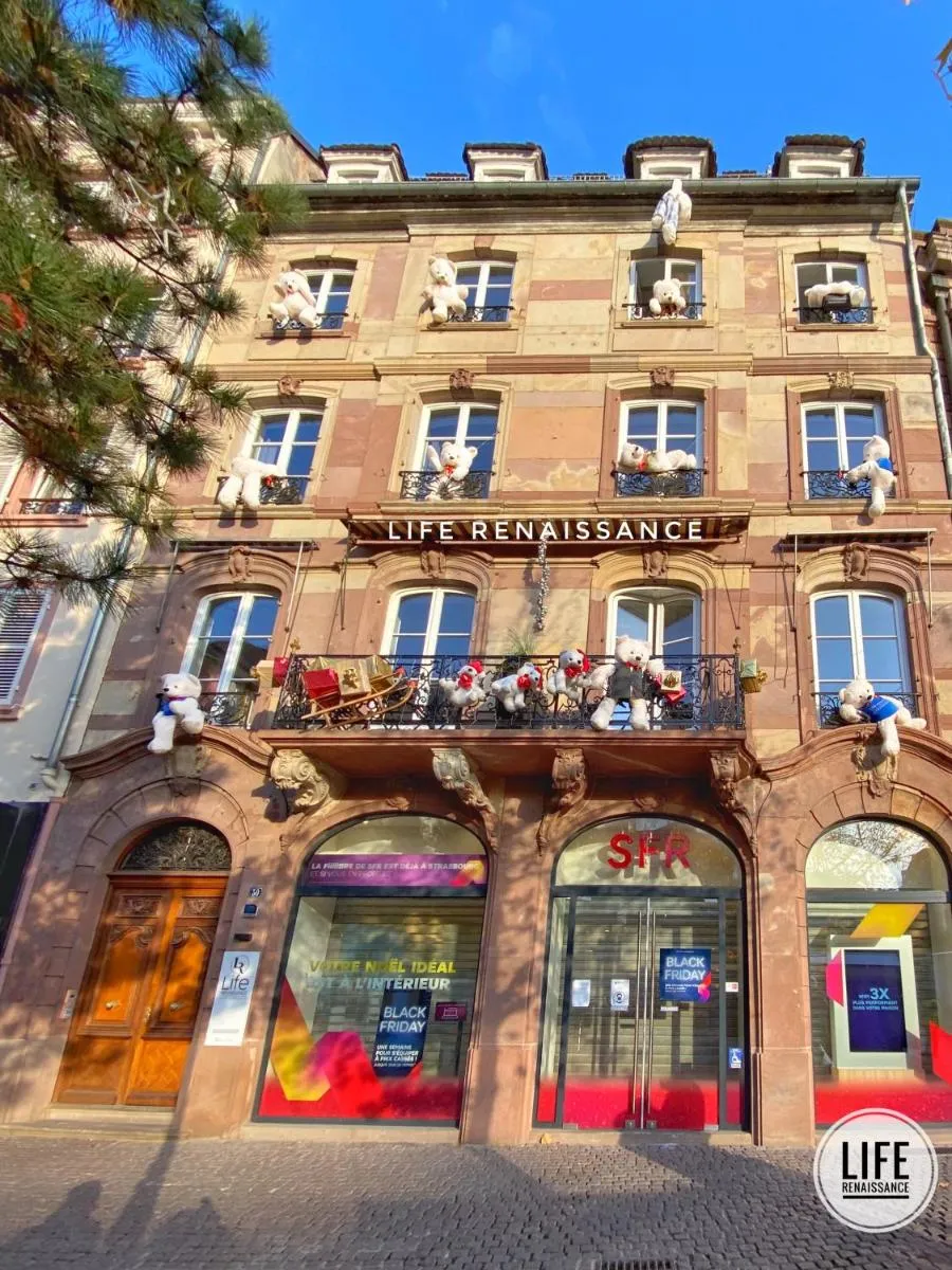 Image 4 of LIFE RENAISSANCE – New Concept – Place Kléber