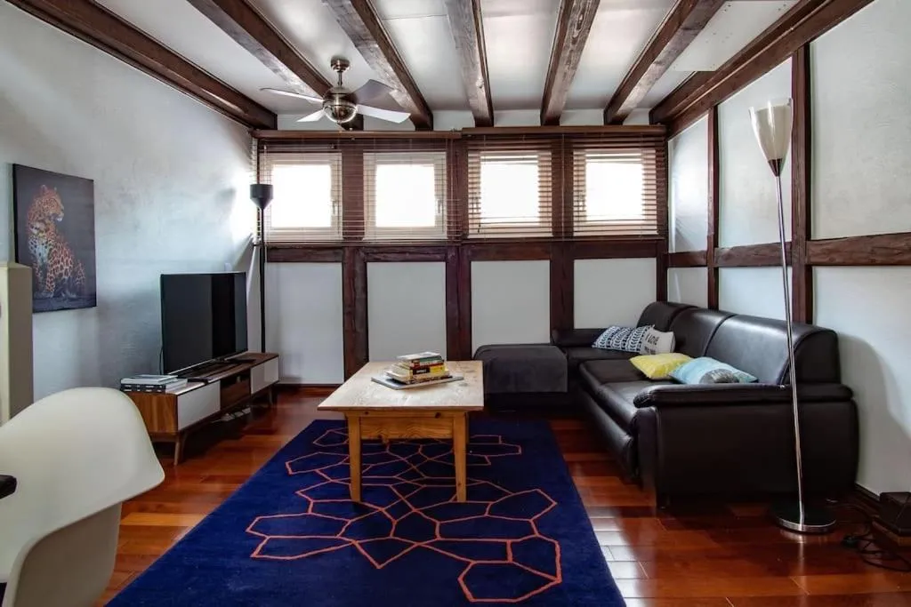 Image of L’Or – Typical Alsacian apartment in Strasbourg
