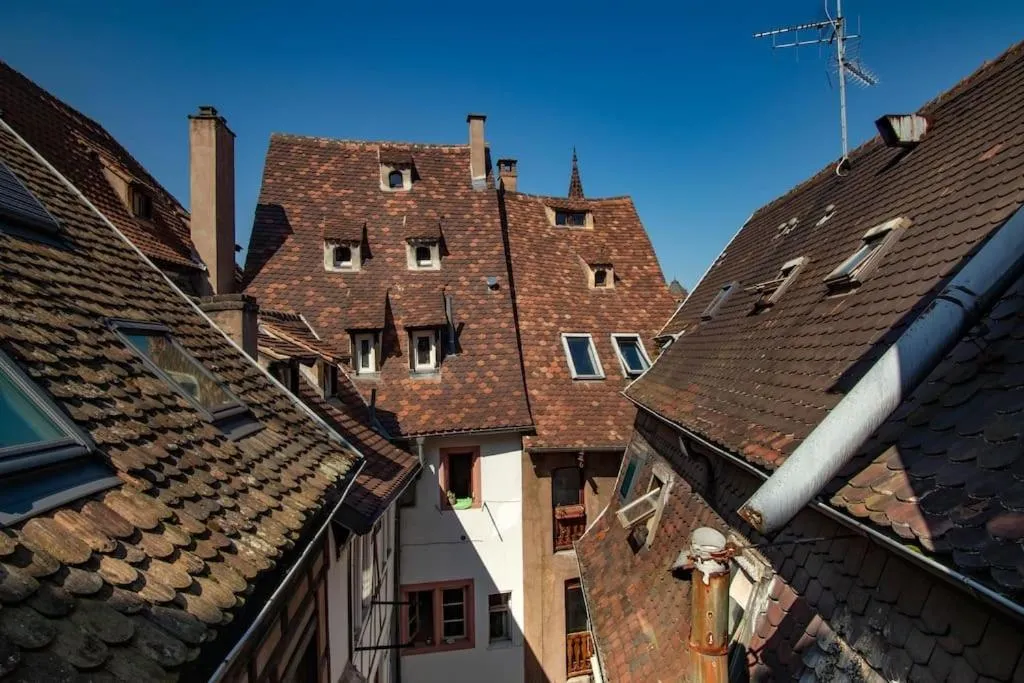 Image 4 of L’Or – Typical Alsacian apartment in Strasbourg
