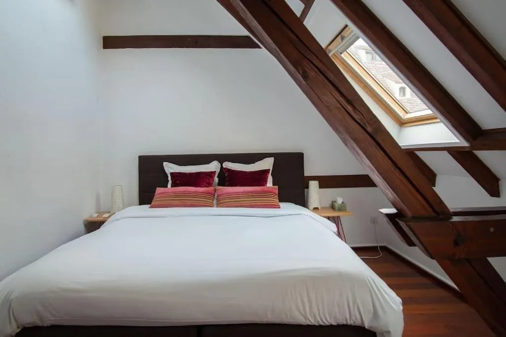 Image 5 of L’Or – Typical Alsacian apartment in Strasbourg