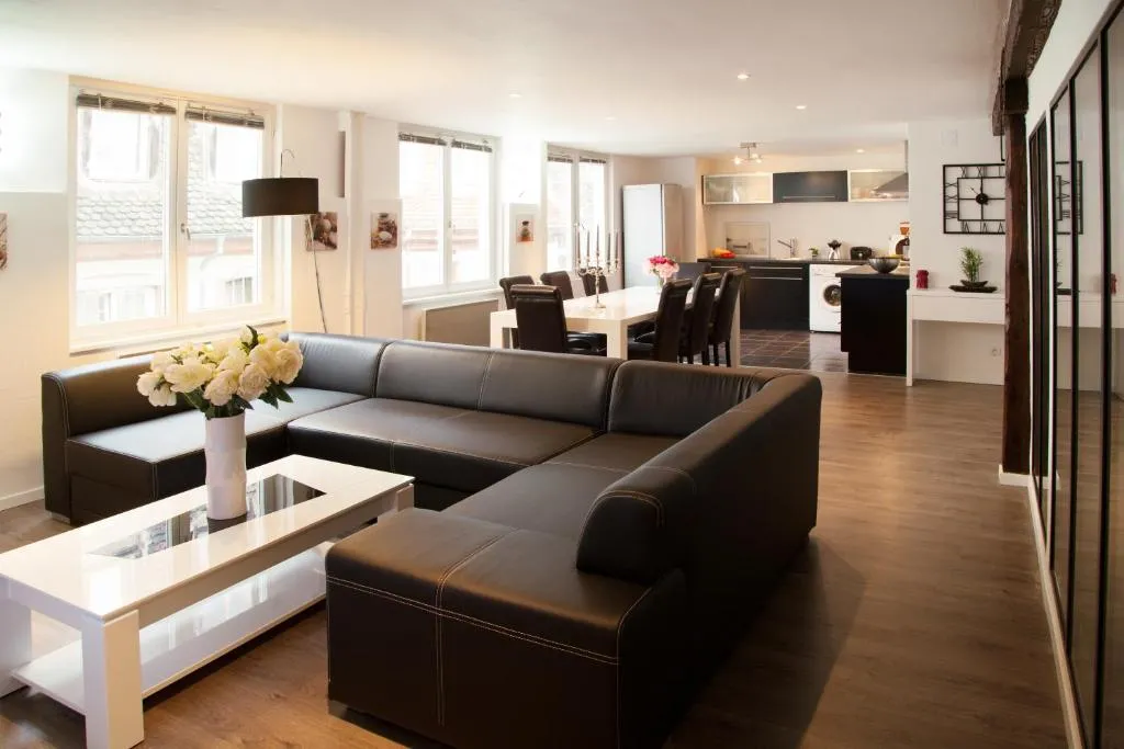 Image of Le Corbeau – Grand Appartement Strasbourg Centre, Calme