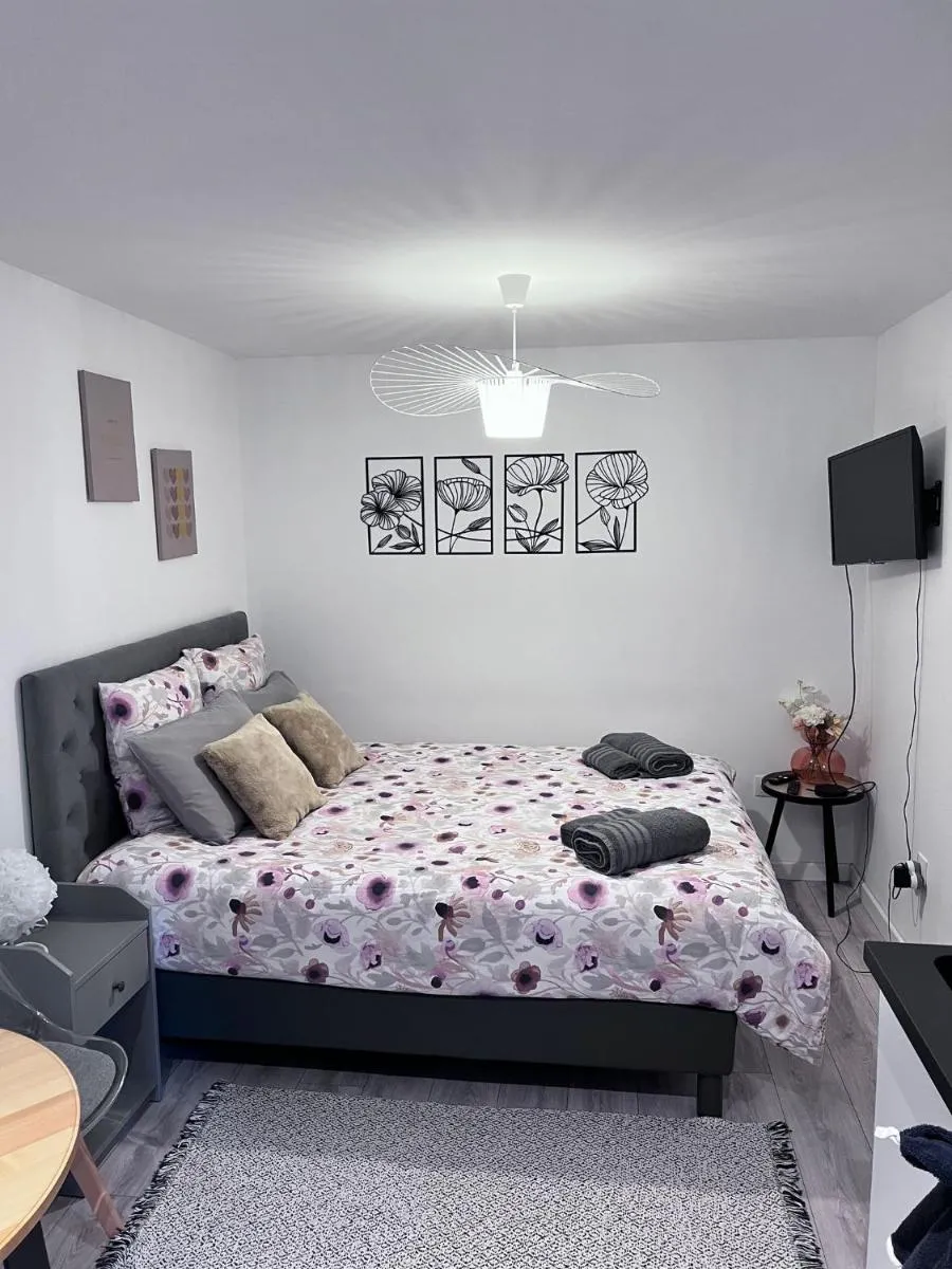 Image 4 of Le Patcho Charmant studio Confortable & Chaleureux , idéalement situé proche centre ville Quartier Neustadt Tribunal, Contades