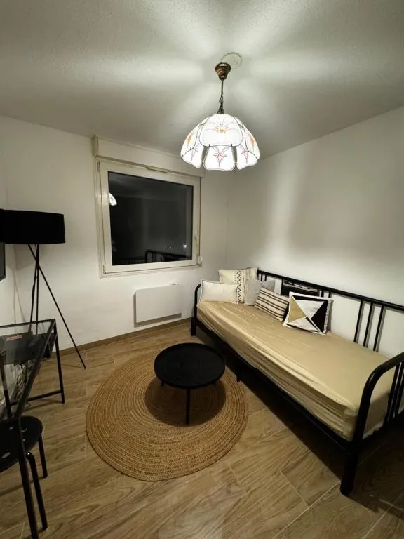 Image of Le Sarsour Appartement Strasbourg Centre