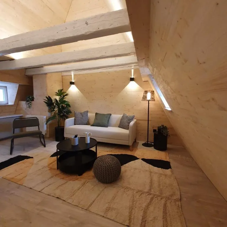 Image of Les appartements Hyper centre