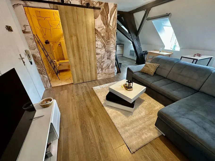Image 5 of Logement entier au coeur de Strasbourg