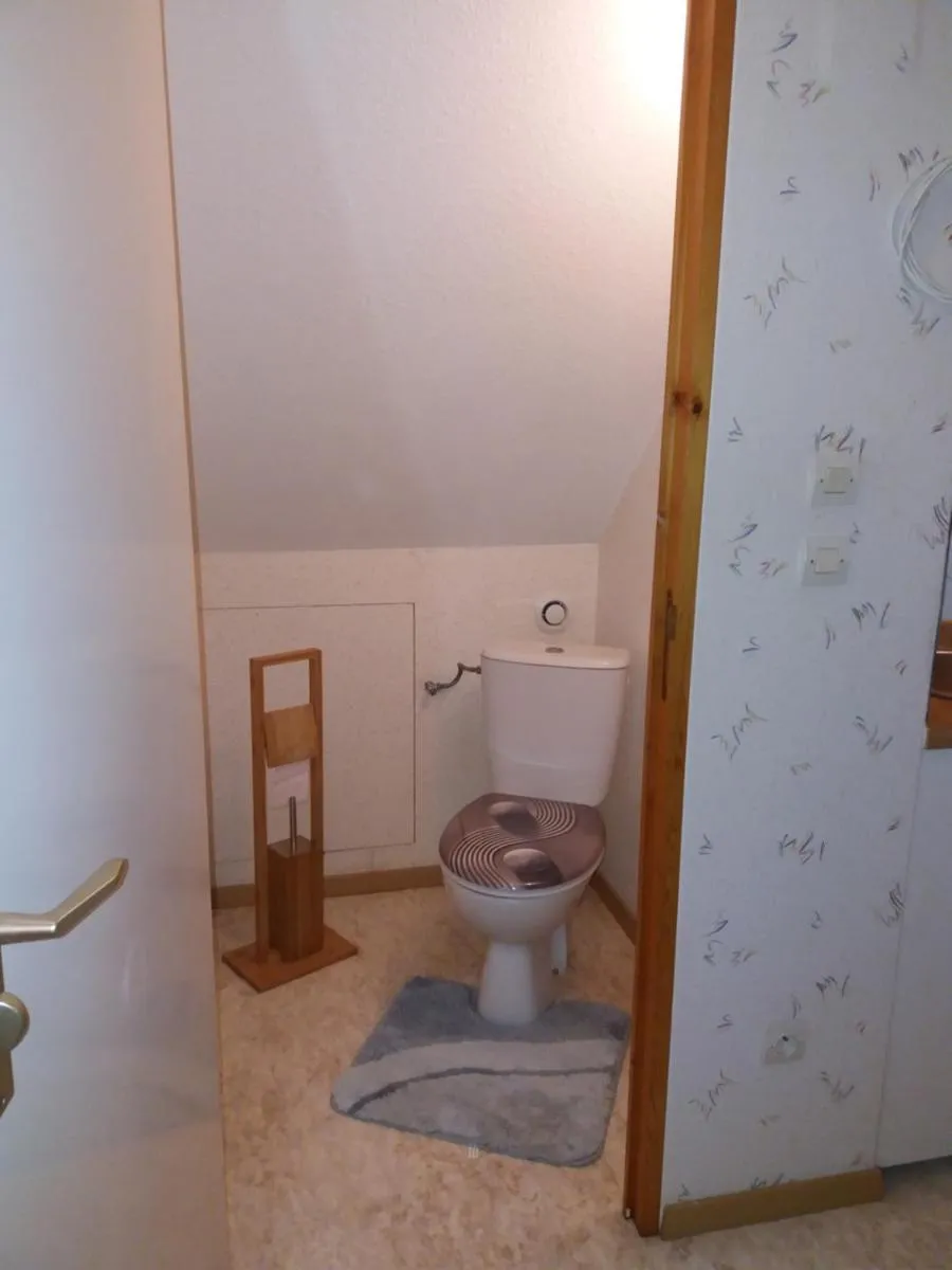 Image 2 of Logis 18 Rose