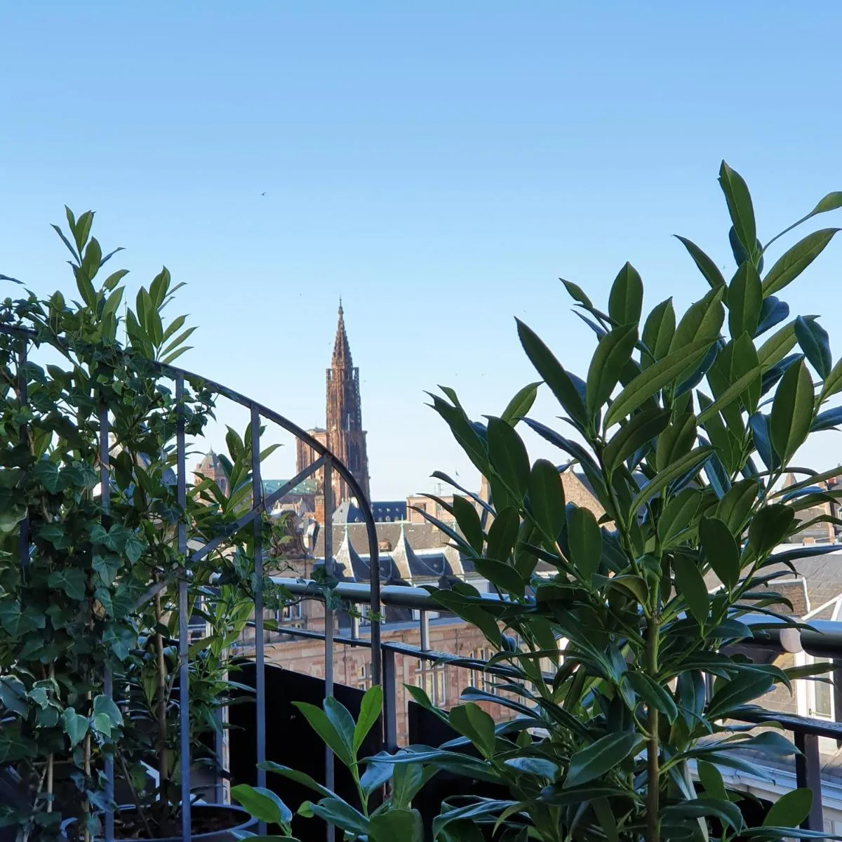 Image 3 of Maison LUTETIA R