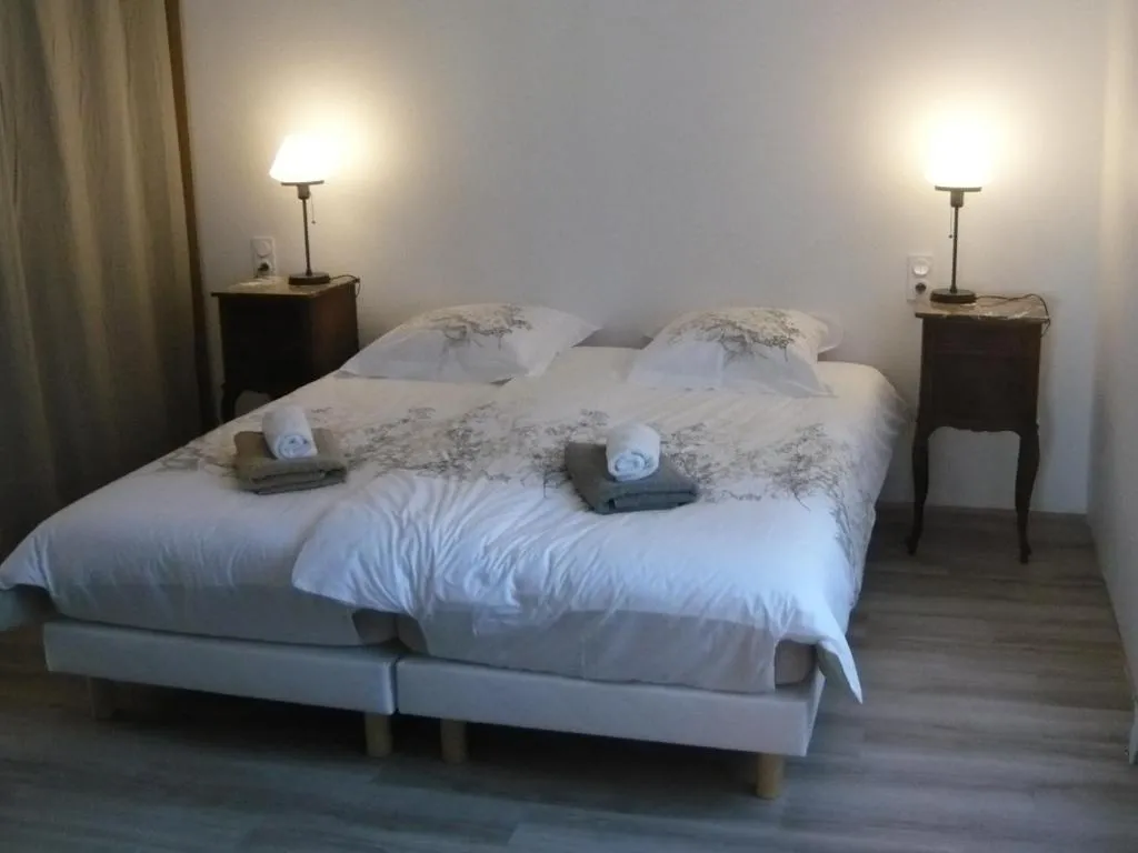 Image of Maison des écluses Strasbourg F3 90m2 Jacuzzi Climatisation