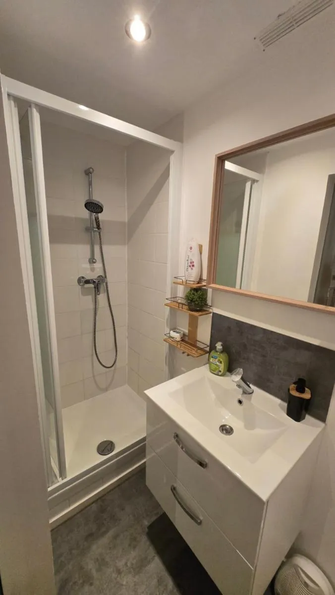 Image 6 of Nid Cosy et Sauna Privé & Proche Centre Strasbourg & Kehl
