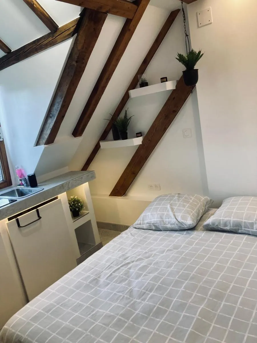 Image 6 of Petit nid sympa a Strasbourg