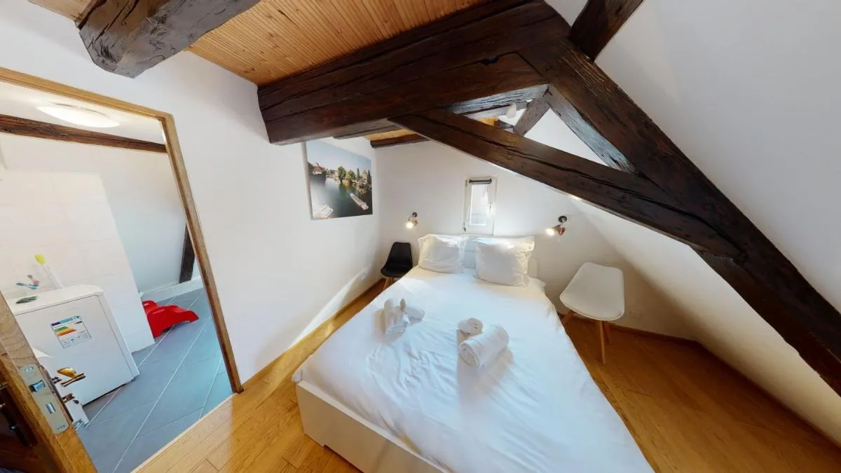 Image 5 of Spacious duplex city center Strasbourg