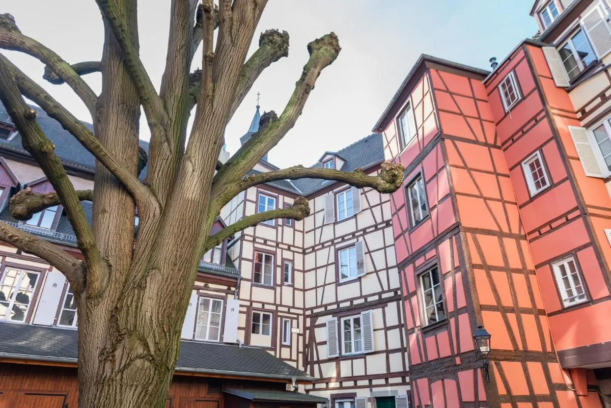 Image 5 of Strasbourg mon Amour – COZY – RBNB
