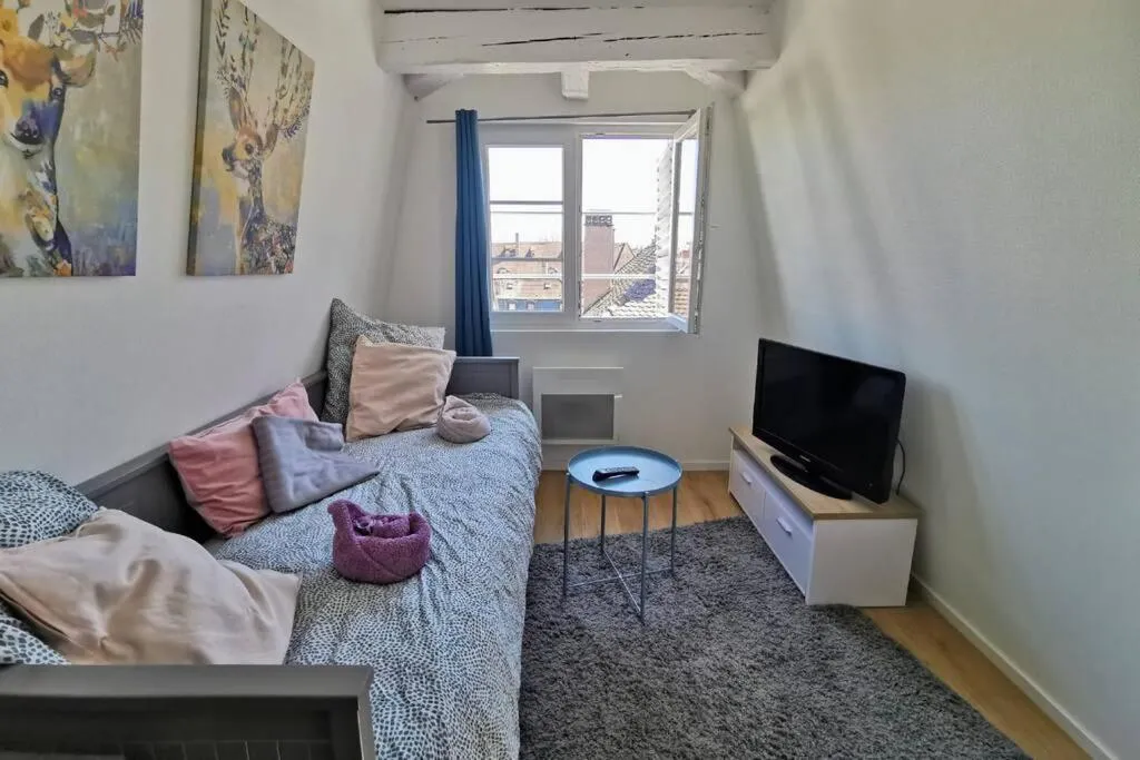 Image of ** appartement cathédrale Strasbourg centre**